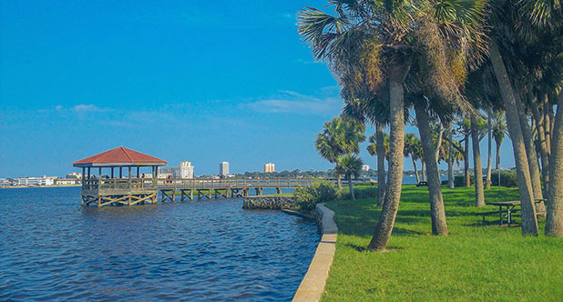Lakeside with palm trees